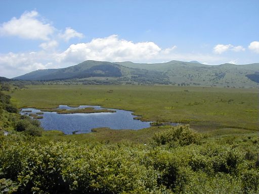 ������������