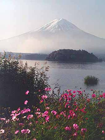 �x�m�R�Ɖ͌���