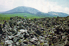 �S���o��