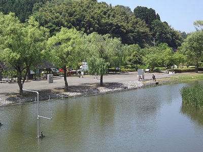 のどかな様子です