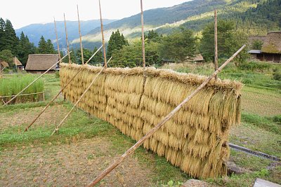 干し掛け
