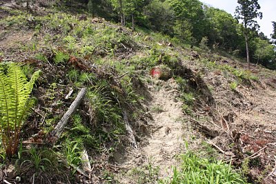 狭く急な登城道を登っていきます