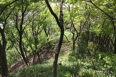 深い堀切は通過が困難なほどです