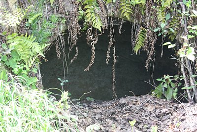 ここから人骨などが発見されています