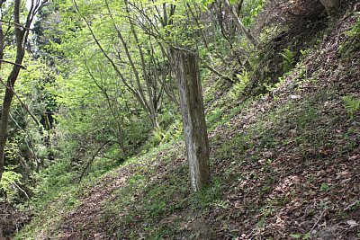 城ヶ平横穴古墳を示す標識