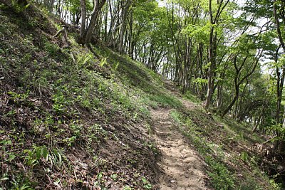 城への登城道は狭くて急です