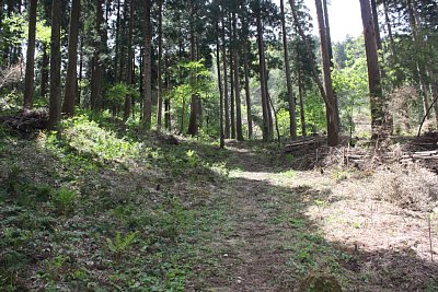 かなり急峻な登城道です