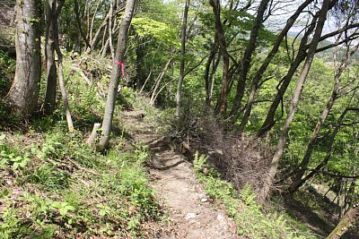 東側の斜面は急峻過ぎてここから攻めるのは困難です