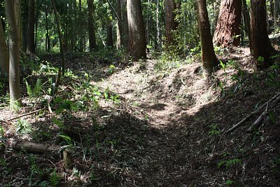 塹壕のような登城道です