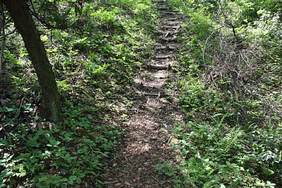 狭く急な登城道を登ります