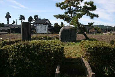 安養寺城跡全景