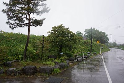 長大な土塁が続く