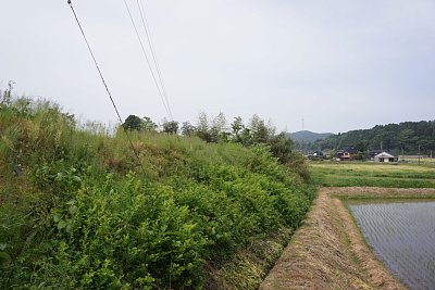 西側の土塁の高さは半端ではありません