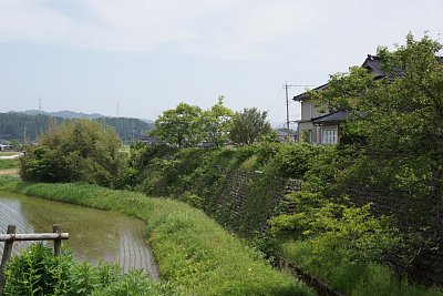 西側の曲輪の土塁はかなりの高さです