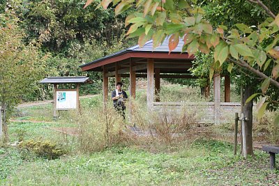 阿尾城二の丸跡