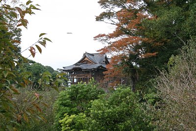 二の丸から見た榊葉乎布神社