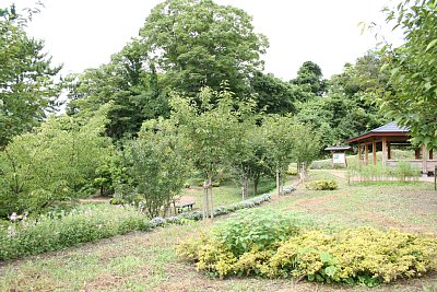 阿尾城二の丸跡