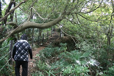 伝本丸跡への通路は狭く険しい