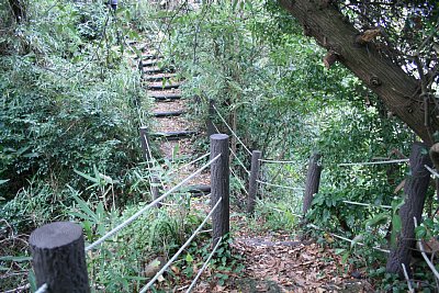 土橋と堀切