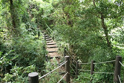 阿尾城空堀跡