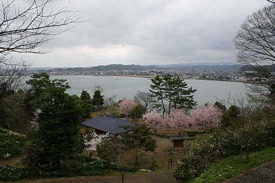 桜が咲く二の丸跡