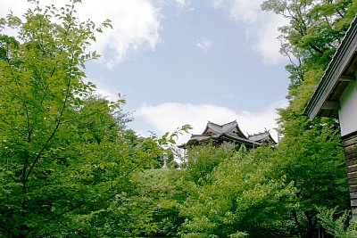 三の丸跡から見た榊葉乎布神社