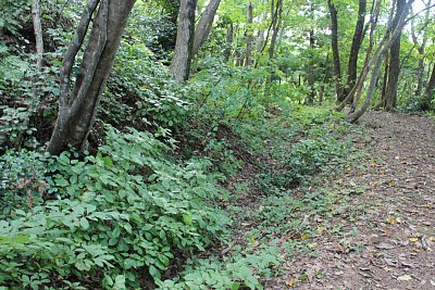 一の丸には空堀がありました