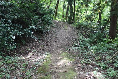 一の丸には空堀が巡らされています