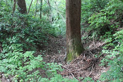 一の丸からの竪堀