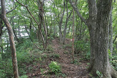 二の丸と三の丸の間の堀切