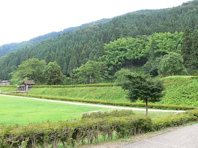 朝倉館跡を囲む土塁