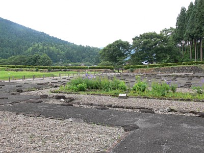 朝倉氏館花壇跡