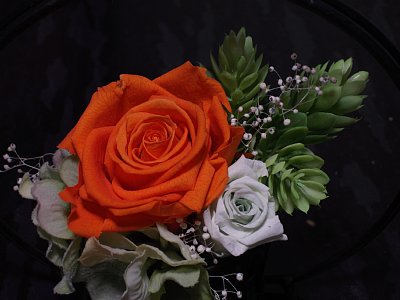 花マクロ