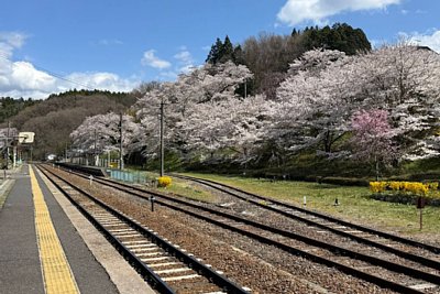 島式ホーム