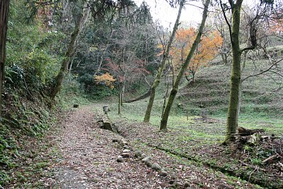 大聖寺城跡の大手道