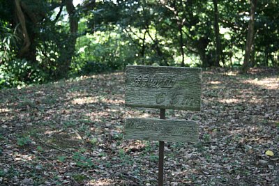 櫓台跡が錦城山山頂(標高65m)となります