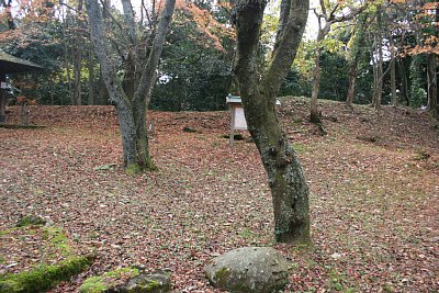 本丸の西側には土塁が残っています