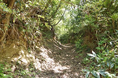 海老瀬城の登城口