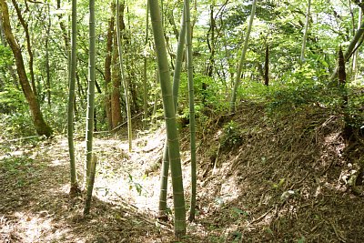 郭の外郭には空堀があります