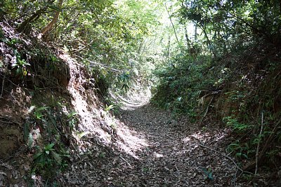 海老瀬城への古道