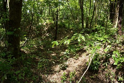 二の郭の東側には土塁があります