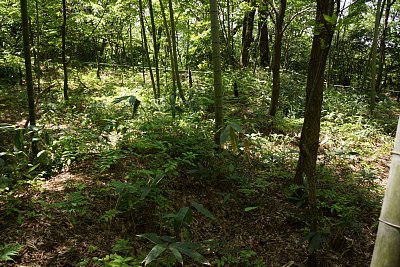 主郭と二の郭の間を走る土塁と虎口