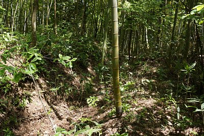 三の郭の外郭にも横堀が走っています