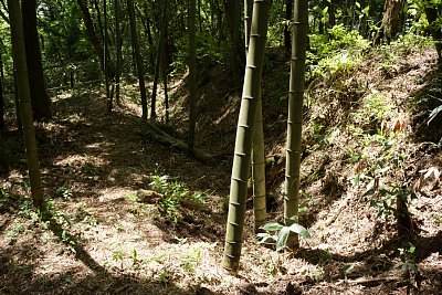 主郭の外郭にも横堀が