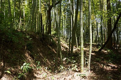 二の郭の東側の土塁