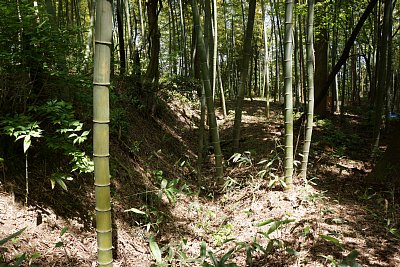 三の郭の外郭にも横堀が