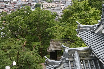 小天守の向こうに本丸門が見えます