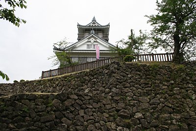 西側から天守を見る