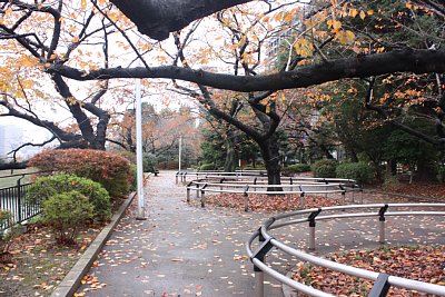 千鳥ヶ淵公園