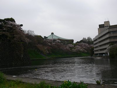 牛ヶ淵と日本武道館